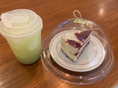 -有猫主题·治愈系猫咖(曾厝垵店)