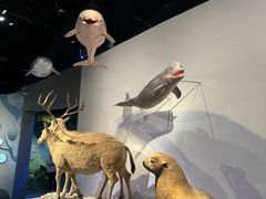 -中国湿地博物馆