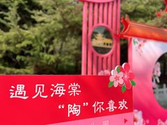 -陶然亭公园