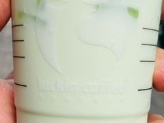 -瑞幸咖啡(时代TIT广场店)