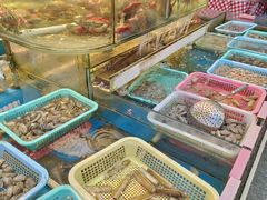 -鑫悦楼煎蟹·16年海鲜大排档