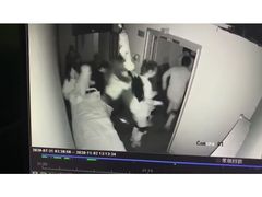 -白兔子密室(长寿路店)