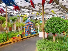 -南宫五洲植物乐园