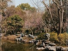 -秋霞圃