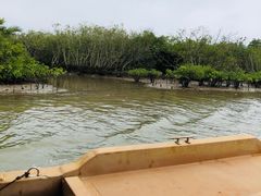 -东寨港红树林旅游区