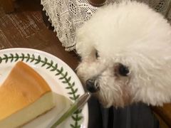 -默迹咖啡馆