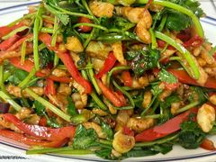 红椒香菜肉丝-乐乐餐厅(湘子庙街店)