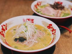 -豚王拉面(铜锣湾店 )