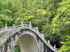 -深圳仙湖植物园