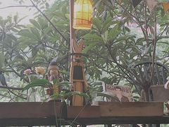 -懒鱼时光馆(沙坪坝店)