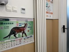 -瑞派·关忠动物医院·猫专科·犬专科(三环新城店)