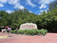 -莲花池公园