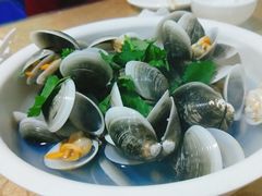 黑兽炖小白菜-海香园饭店