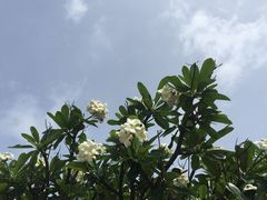 -夏威夷珍珠港