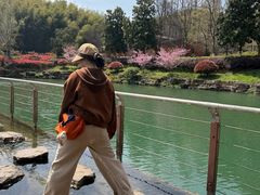 -冶父山国家森林公园