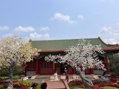 -珠海圆明新园