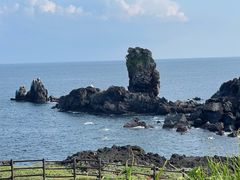-涉地可支