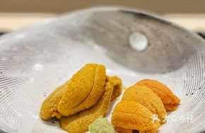 Dàqiān Sea Urchin