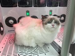 -FAELING PETS美天灵宠物(富力广场店)