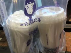 -一只酸奶牛(八一路店)