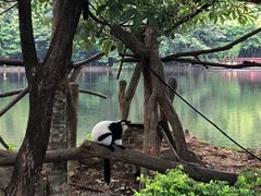 -清迈夜间动物园
