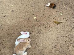 -三亚海棠湾万丽度假酒店