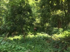 -雁荡老杨土菜馆