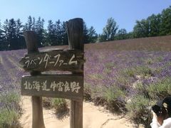 -富田农场