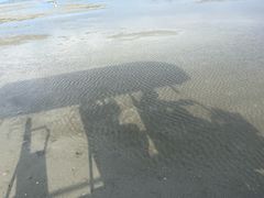 -红树林天天赶海