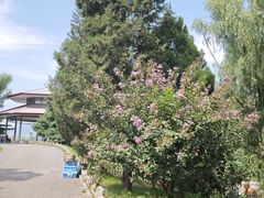 -青龙湖公园