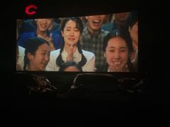 -枫花园汽车电影院(朝阳公园店)
