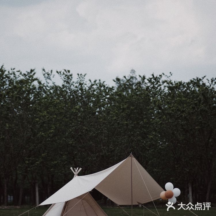 成都郊游 | 新都竟然藏着可以露营的小森林🏕️