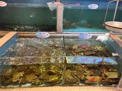 -快乐海鲜酒楼(滇池路店)