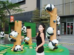 -东莞松山湖万象汇