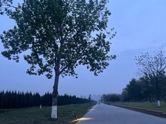 -汉长安城未央宫国家考古遗址公园