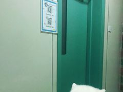 -北京观赏动物医院·24小时大型综合·猫专科·异宠专科