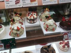 -多乐之日(公益西桥店)