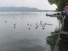 -杭州西湖银泰百货