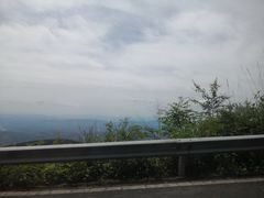 -武陵山森林公园