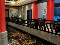 -龙悦湾酒家·八阵鱼生·渔人码头店