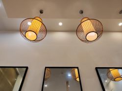 -章光101防脱养发荟