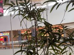 -苏帮袁Sue Cuisine(南开大悦城店)
