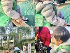 -乌村