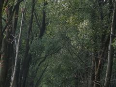 -东湖磨山景区