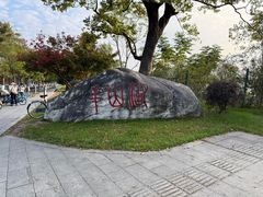 -羊山湖公园