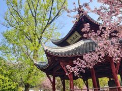-采石矶景区