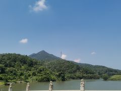 -南海湾森林生态园