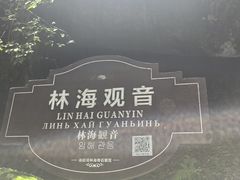 -汤旺河林海奇石景区