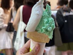 -柠檬车露(卖草地店)