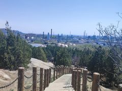 -白水寺森林公园